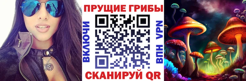 Псилоцибиновые грибы Cubensis  Ивантеевка 