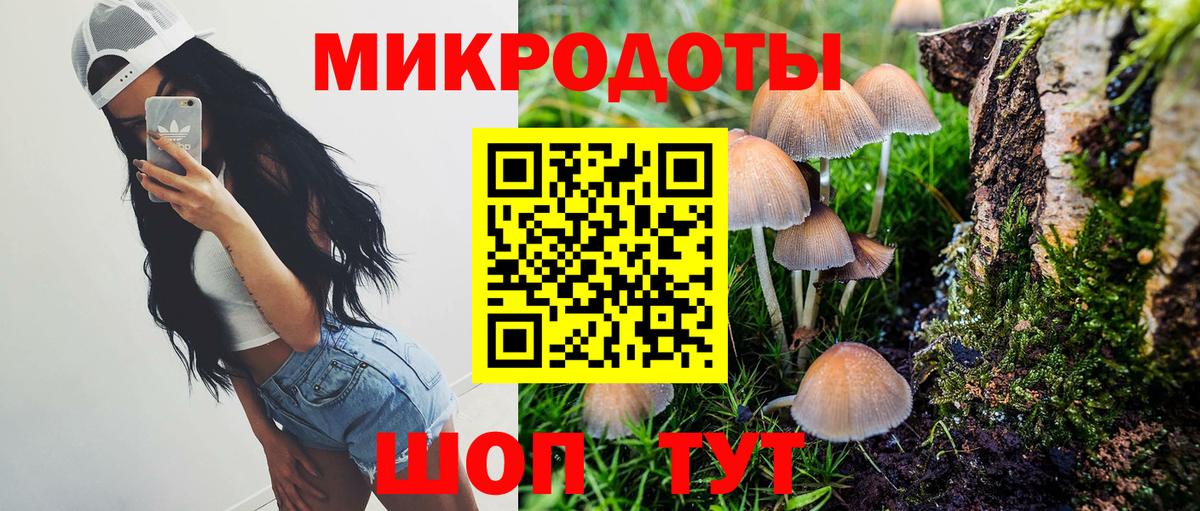 Галлюциногенные грибы мицелий  Вход с VPN  Галлюциногенные грибы Cubensis  Ивантеевка 