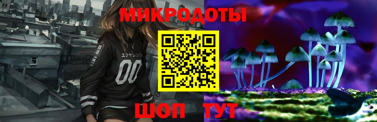 Псилоцибиновые грибы Cubensis Ивантеевка